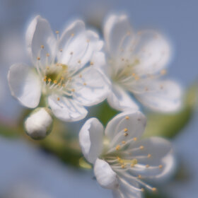 Лучшие фото. ПРИРОДА (0)