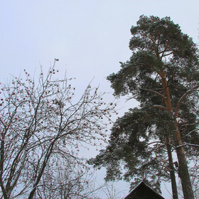 Мой город