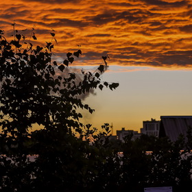 Случайные фотографии. Природа