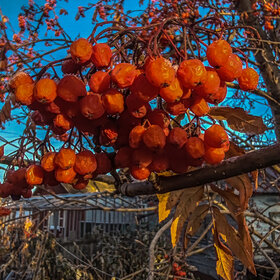 Лучшие фото. ПРИРОДА (0)