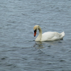 Photo Nature. Балтийское море.