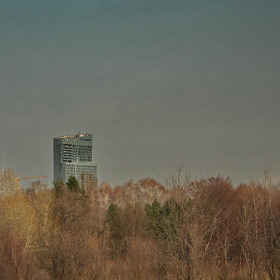 Природа, фотосъемка.