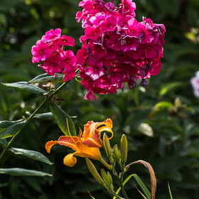 Природа