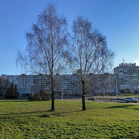 Фотографии моего города Калининград.