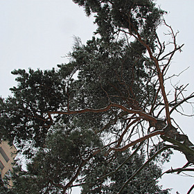 Мой город