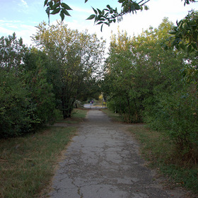 Парковые тропки