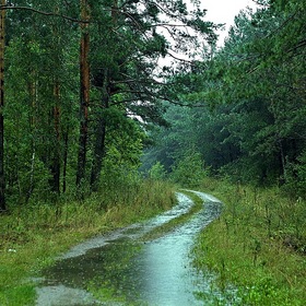 Фотографии из поездки