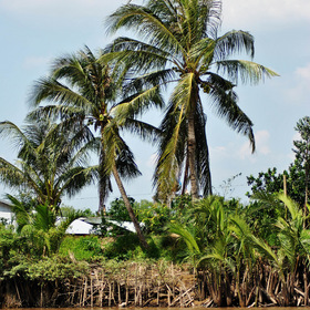 Случайные фотографии. Путешествия