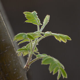 Лучшие фото. ПРИРОДА (0)