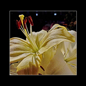Природа