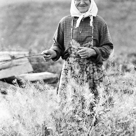 АГРАФЕНА - ПТИЧНИЦА 1970г.