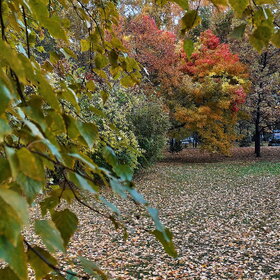 Лучшие фото. ПРИРОДА (0)