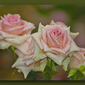 Природа