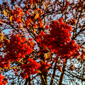 Лучшие фото. ПРИРОДА (0)