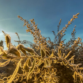 Лучшие фото. ПРИРОДА (0)