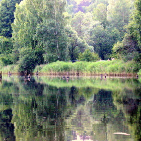 Мой любимый город