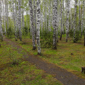 Лучшие фото. ПРИРОДА (0)