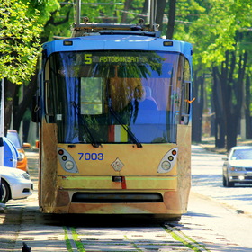      2013