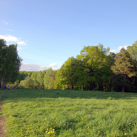 Лесными тропками-9