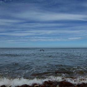 Природа. Балтийское море.
