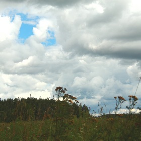 Пасмурно