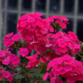 Фото