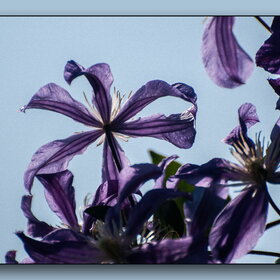 Случайные фотографии. ПРИРОДА