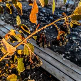 Лучшие фото. ПРИРОДА (0)