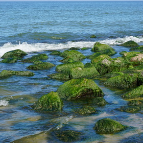 Nature Photo. Балтийский берег.