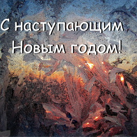 С НАСТУПАЮЩИМ НОВЫМ ГОДОМ !