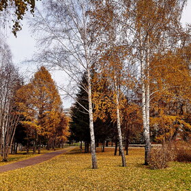 Лучшие фото. ПРИРОДА (0)