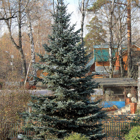 Город