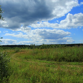 Летний день