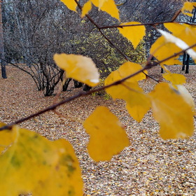 Случайные фотографии. Природа