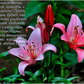 Всех женщин с ПРАЗДНИКОМ!!!