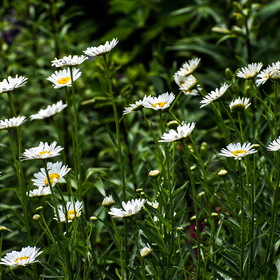 Случайные фотографии. Фото