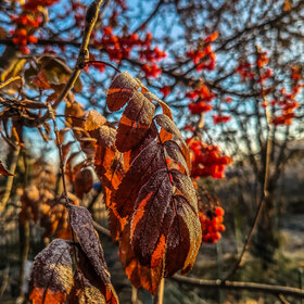 Лучшие фото. Природа (0)