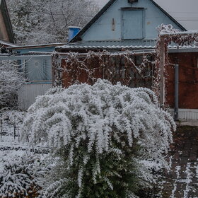 Новые фотографии. ПРИРОДА