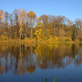 Золотая осень