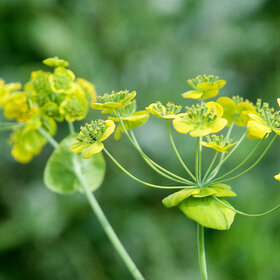 Лучшие фото. ПРИРОДА (0)