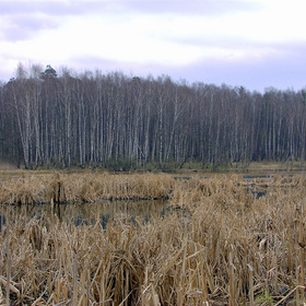 Пехорка апрель