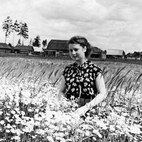  1953 .