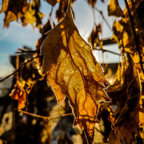 Лучшие фото. ПРИРОДА (0)