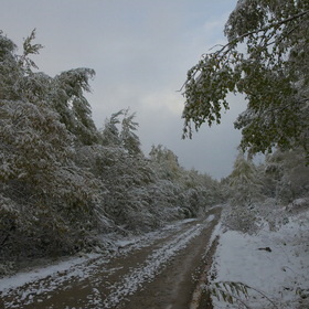 Фотографии из поездки