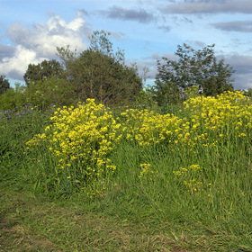 У реки