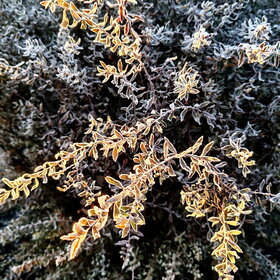 Новые фотографии. ПРИРОДА