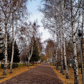 Лучшие фото. ПРИРОДА (0)