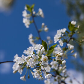 Лучшие фото. ПРИРОДА (0)