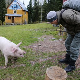 Случайные фотографии. Фотографии природы