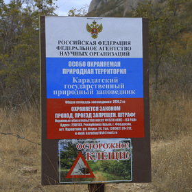 Коктебельские зарисовки